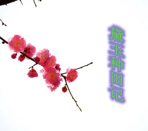(红楼同人)黛玉种田记